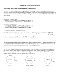 MCDB 1041 Activity 8: Genetic testing Part I. Using Restriction